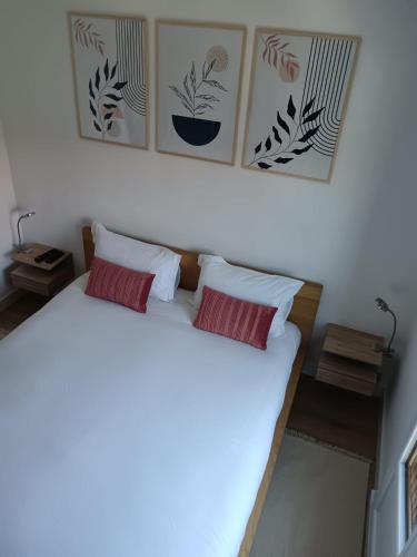 - une chambre avec un lit blanc et 2 oreillers rouges dans l'établissement Cosy T3, proche centre ville, à Aix-en-Provence