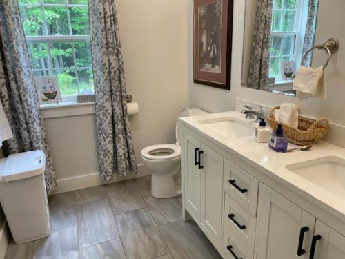 a bathroom with a sink and a toilet and a window at Harvest Moon Trail Hideaway in Middleton
