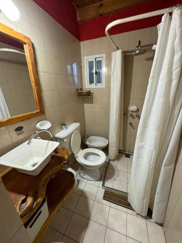 a bathroom with a toilet and a sink and a shower at Cabañas Blumenhaus in Villa Ventana