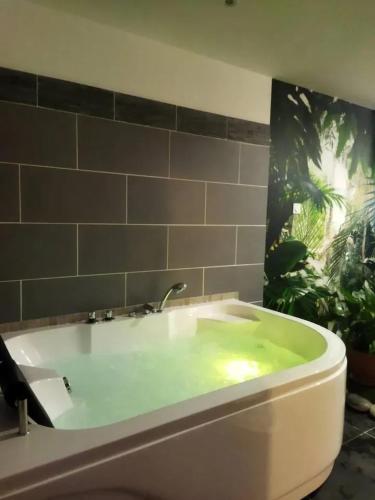 La salle de bains est pourvue d'une baignoire et d'une plante. dans l'établissement Studio romantique à Baixas avec Jacuzzi - 35m², à Baixas