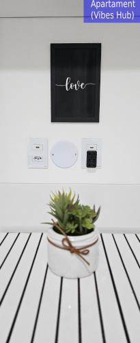 a potted plant sitting on a bench in a room at Copacabana Vibes Studios in Rio de Janeiro
