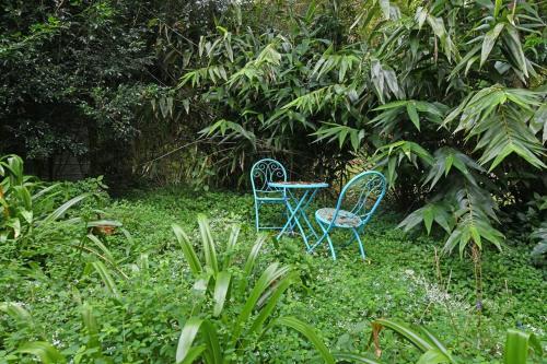 Taman di luar Maringa House