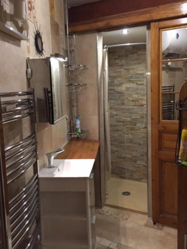 La salle de bains est pourvue d'un lavabo et d'une douche. dans l'établissement SOLEIL ET PLAGE A Sète, à Sète
