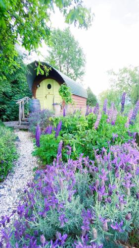 a garden with purple flowers in front of a house at Springfield Cabin in Springfield