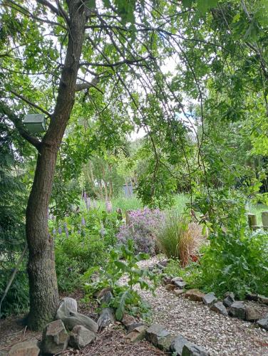 a garden with a tree and some flowers at Springfield Cabin in Springfield