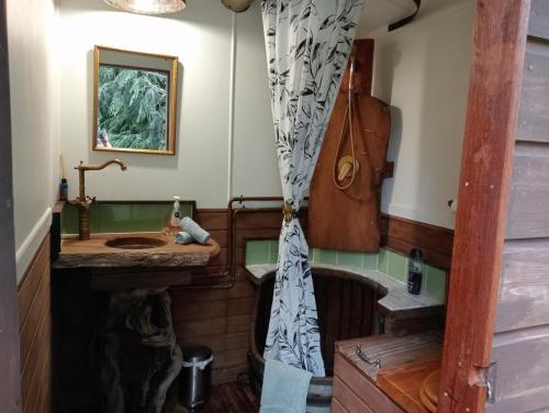 a bathroom with a sink and a shower curtain at Springfield Cabin in Springfield