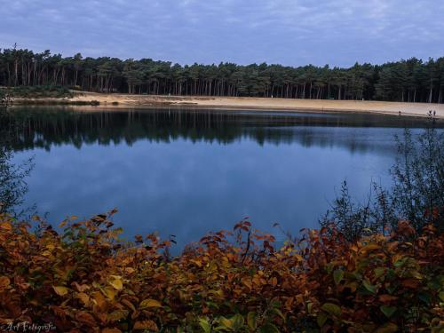 a body of water with a beach in the background at Edelhert in Hulshorst