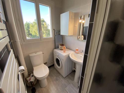 une petite salle de bain avec toilettes et lavabo dans l'établissement Grand studio calme avec balcon & parking gratuit, à Tours