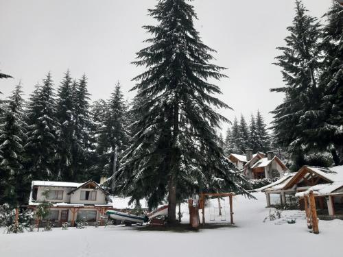 Cabañas Añahue en invierno