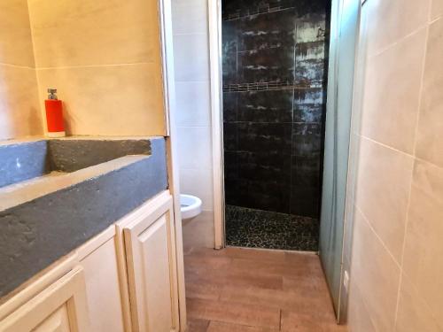 une salle de bain avec une douche, un lavabo et des toilettes dans l'établissement Maison à Banyuls: Wifi, jardin, climatisation, à 5 min de la plage, proche centre et commerces - FR-1-309-472, à Banyuls-sur-Mer