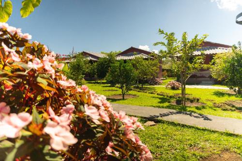 a garden with pink flowers in the grass at Vila da Mata Chalés in Alto Paraíso de Goiás