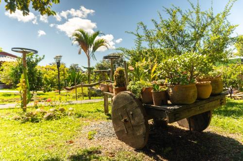 a wooden cart with potted plants on it at Vila da Mata Chalés in Alto Paraíso de Goiás