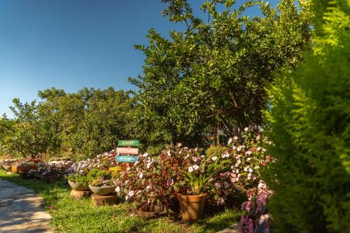 a row of plants in pots in a garden at Vila da Mata Chalés in Alto Paraíso de Goiás