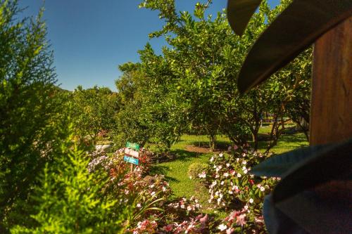 a garden with flowers and trees in a yard at Vila da Mata Chalés in Alto Paraíso de Goiás