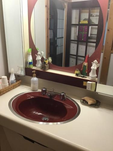 a bathroom counter with a sink and a mirror at COZY Inn Free Shuttle service in Nikko