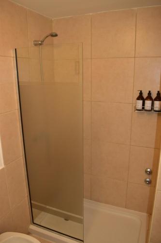a shower with a glass door in a bathroom at Apart Moderno Vista al Mar in Comodoro Rivadavia