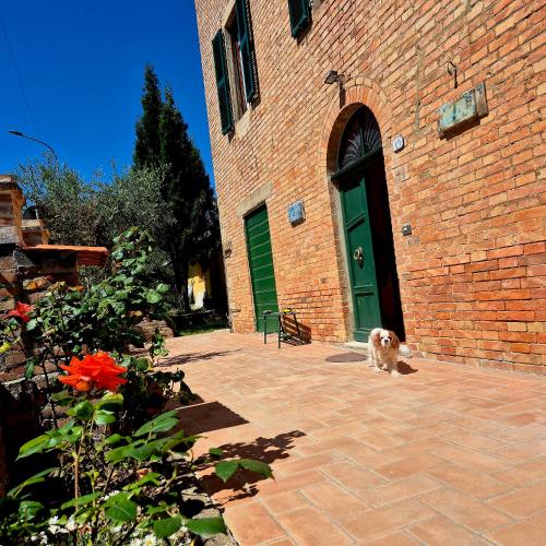 a dog standing outside of a brick building with a green door at La Rosa Rossa in San Casciano dei Bagni