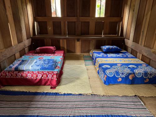 two beds in a room with wooden walls at Authentique Homestay in Rantepao