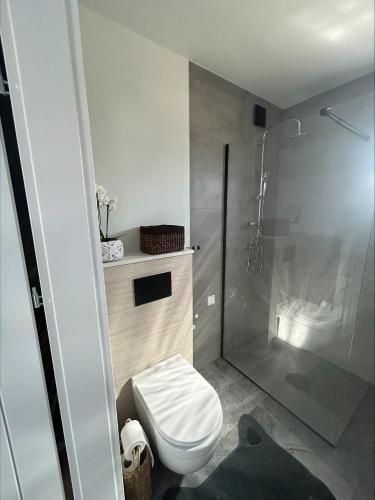 a bathroom with a toilet and a shower at Pogodny Zakątek in Mosty