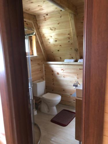 a bathroom with a toilet in a wooden cabin at Etno apartmani Komarnica in Šavnik