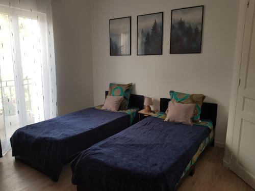 une chambre avec deux lits et une fenêtre dans l'établissement Joli Appartement T3 La Mallerenga, à Vernet-les-Bains