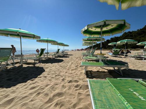 a group of beach chairs and umbrellas on a beach at Loft 1-2-3, in centro, con giardino, a 150 m dal mare in Pineto