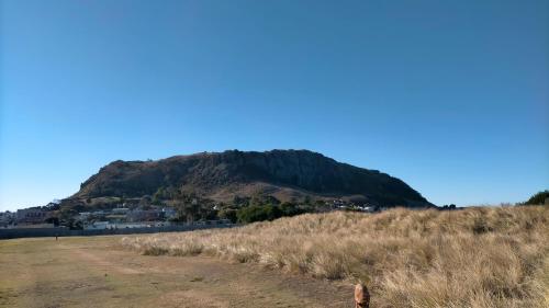 a mountain in the distance with a dog in the foreground at The Old Bank Stanley in Stanley