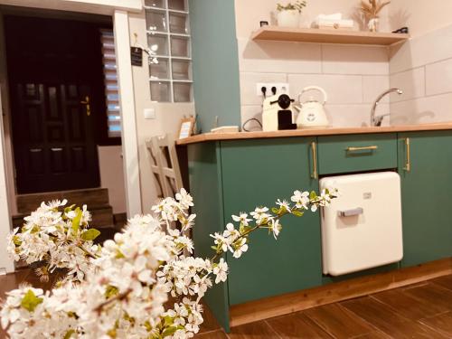 a kitchen with a green cabinet and some flowers at Moon and Sun Apartments in Sibiu