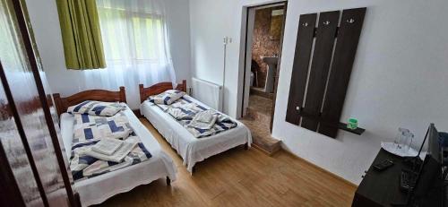 two beds in a small room with a mirror at Cabana Cerbu in Bozovici