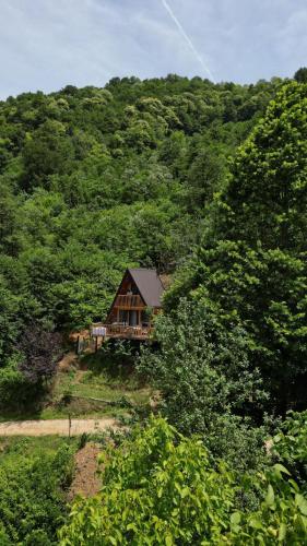 Paisaje cerca de este camping