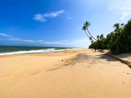 a sandy beach with a palm tree and the ocean at Villa Ocean's Edge in Ranna