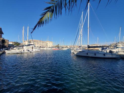 Port Frejus, 100 m des plages, le CESAREE, T2 30m2