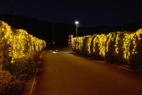 a row of hedges covered in christmas lights at night at ホテル白竜湖リゾート in Mihara
