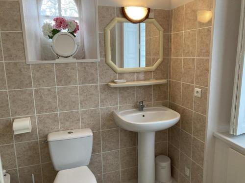 a bathroom with a toilet and a sink and a mirror at Le petit gîte du theil au servant in La Chapelle-Viviers