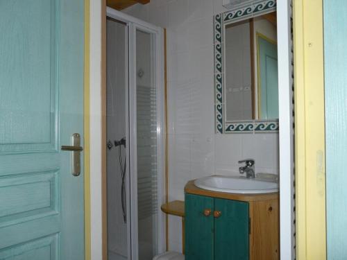 a bathroom with a sink and a mirror at Les boulites in Roches-Prémarie-Andillé