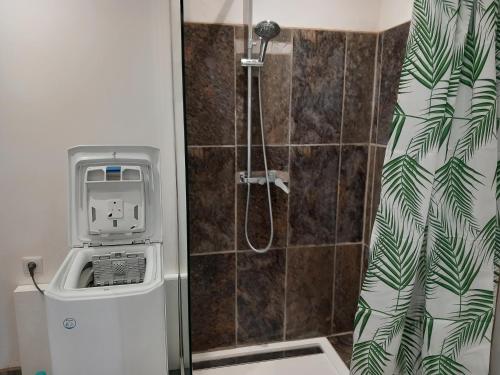 a bathroom with a shower with a toilet and a shower at maison de vacances olmi cappella Corse in Olmi-Cappella