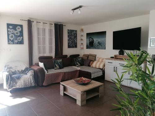 un salon avec un canapé et une télévision dans l'établissement Villa chaleureuse avec piscine 12 voyageurs, à Saint-Alexandre