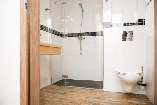 a bathroom with a toilet and a shower at Tawerna Panorama in Stepnica