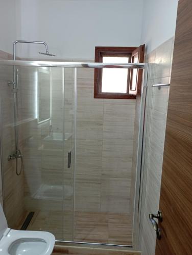 a bathroom with a glass shower with a toilet at Akrogiali Rooms & Studios in Drymonas