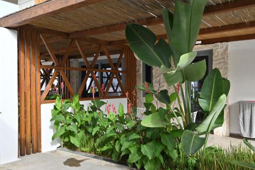 a group of plants in front of a building at Agorastos Luxury Living in Platamonas
