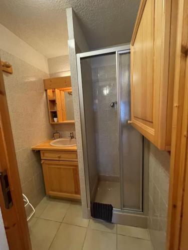 une salle de bain avec douche et lavabo dans l'établissement Studio au coeur de Samoens, à Samoëns