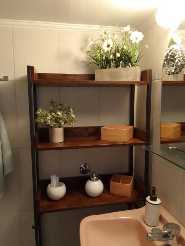 ein Badezimmer mit Waschbecken und einem Regal mit Pflanzen in der Unterkunft Nikolas House in Asprovalta