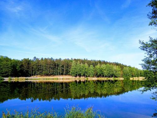 a view of a lake with trees in the background at Sztár Motel Étterem in Balassagyarmat