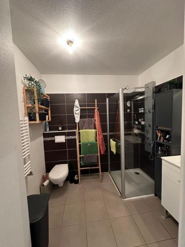 une salle de bain avec une douche, des toilettes et un lavabo dans l'établissement T2 avec jardin privatif, à Saint-Pierre-dʼIrube