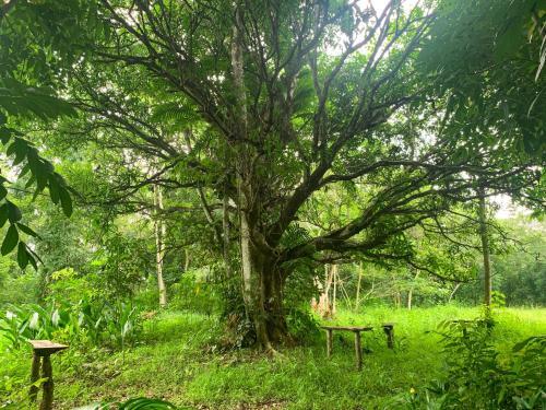 Giardino di Balay Hilway - Cozy Rustic Cabin