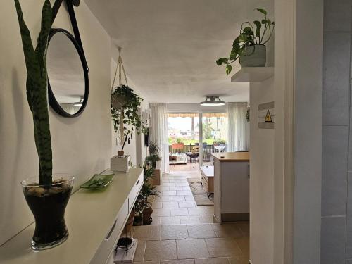 eine Küche mit einer Theke mit einer Topfpflanze darauf in der Unterkunft Miraverde Heated Pool in Adeje