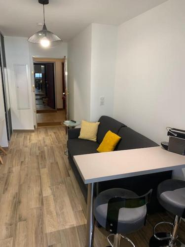 un salon avec un canapé et une table dans l'établissement Appartement F1 Bastia, à Toga