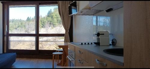 une cuisine avec un évier et une grande fenêtre dans l'établissement Studio pour 4 personnes pied dans les pistes, à Villard-de-Lans