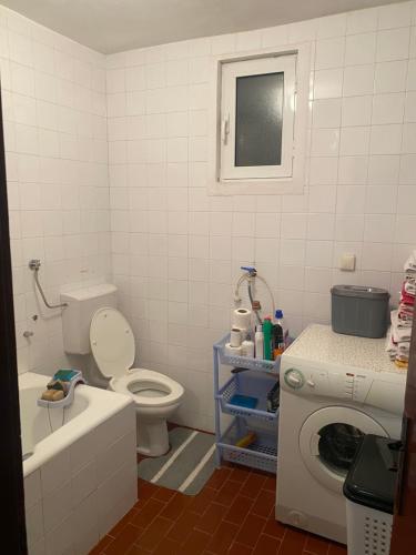 a bathroom with a toilet and a washing machine at Sweet house in Podgorica