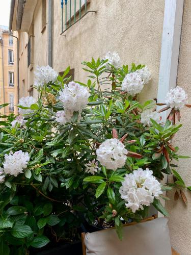 Dar Saad Appartement terrasse climatisation centre d Aix